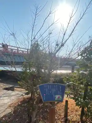 宇治神社の{uncategorized: "未分類", other: "その他", undefined: "問題あり", building: "その他建物", grave: "お墓", sacred_gate: "鳥居", guardian: "狛犬", statue: "像", buddha: "仏像", history: "歴史", nature: "自然", garden: "庭園", animal: "動物", pagoda: "塔", temizu: "手水舎", mountain_gate: "山門・神門", sanctuary: "本殿・本堂", subordinate: "末社・摂社", art: "芸術", scenery: "景色", jizo: "地蔵", ema: "絵馬", goshuin: "御朱印", omikuji: "おみくじ", items: "授与品その他", amulet: "お守り", goshuincho: "御朱印帳", eats: "食事", festival: "お祭り", votive_dance: "神楽", shichigosan: "七五三参", wedding: "結婚式", experience: "体験その他", initially: "初詣", around: "周辺", anti_infection: "感染症対策"}