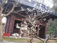 妙本寺の山門・神門