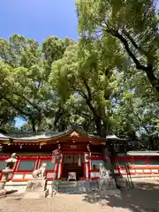 杭全神社(大阪府)