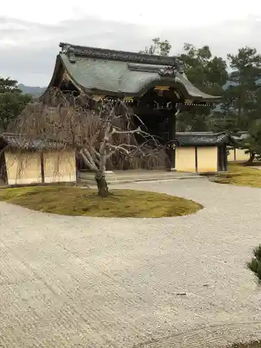 大覚寺の庭園