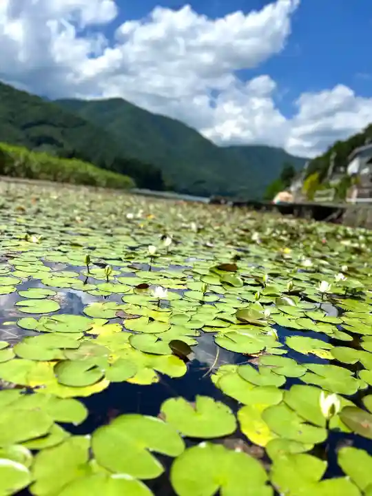 仁科神社(長野県)