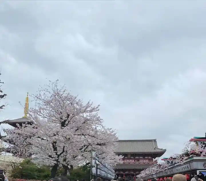 浅草寺(東京都)