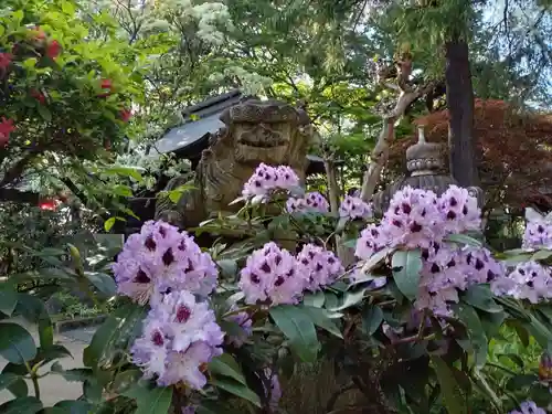 大宝八幡宮(茨城県)