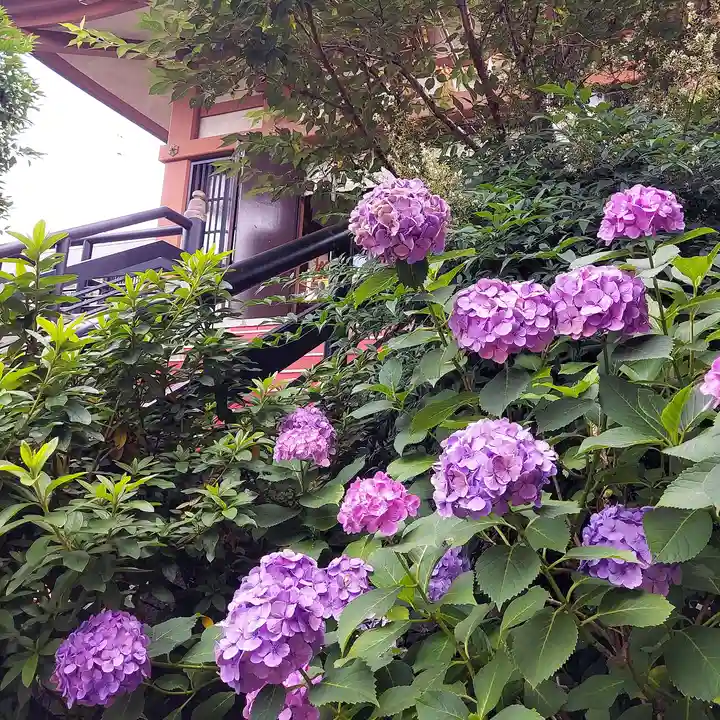 万作神社(東京都)