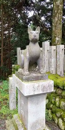 山住神社の狛犬