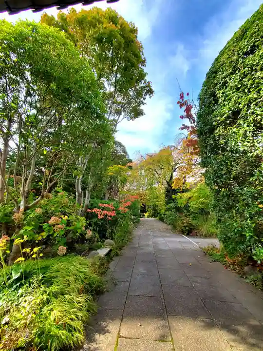 徳泉寺(宮城県)