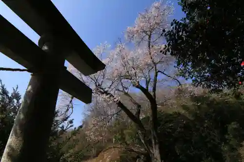 赤岩稲荷神社の鳥居