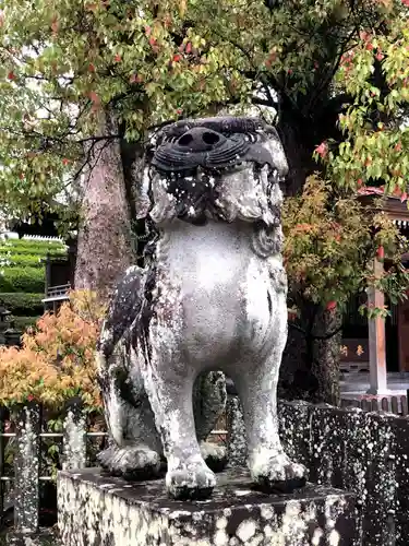 八代宮の狛犬