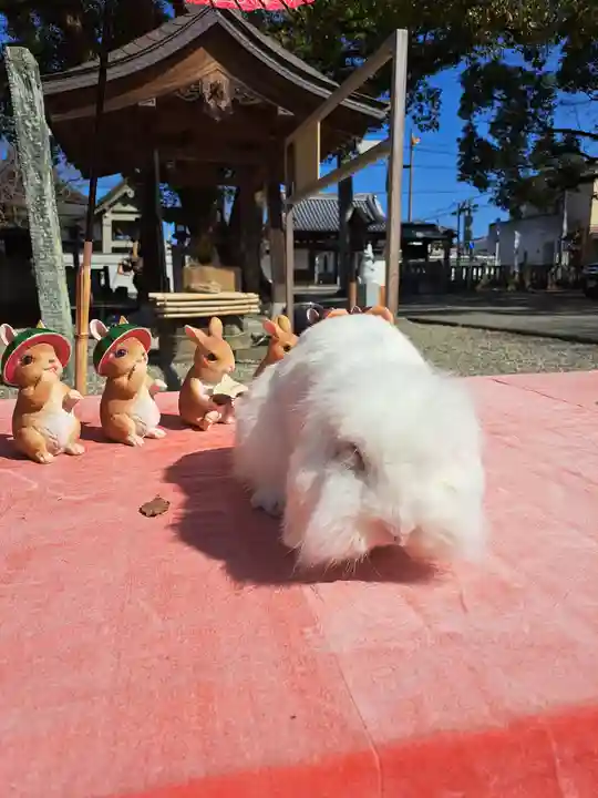 大御和神社(徳島県)