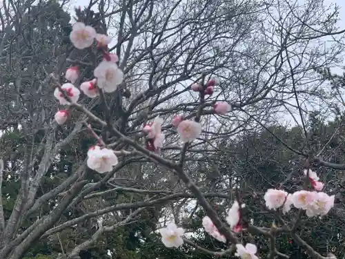 松前神社の自然