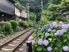 御霊神社の周辺