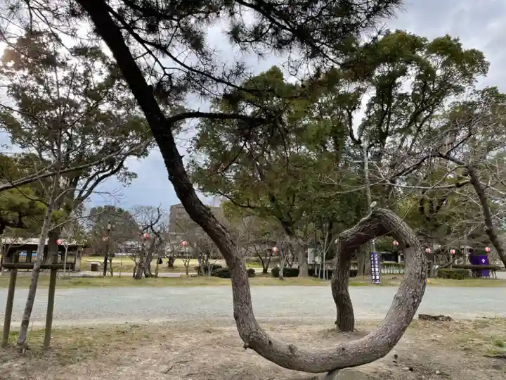 三柱神社の自然