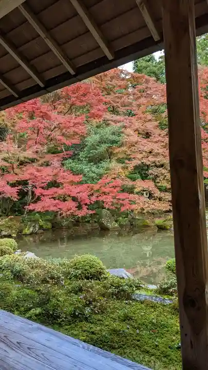 蓮華寺(洛北蓮華寺)(京都府)