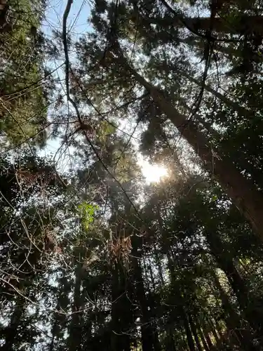 猿田彦三河神社(愛知県)