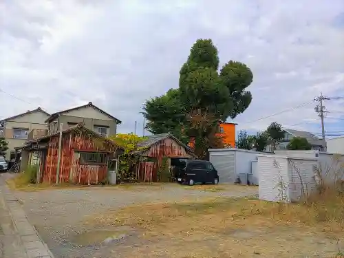 白山社（砂子白山社）の自然