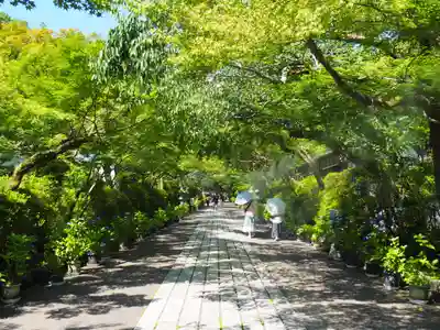 石山寺(滋賀県)