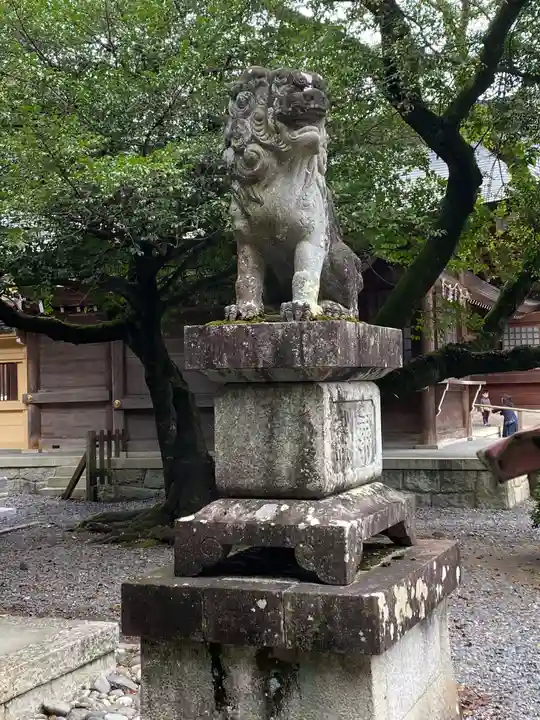 砥鹿神社(里宮)の狛犬