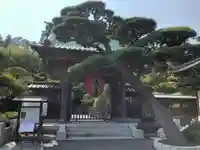 長谷寺の山門・神門