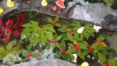 三輪神社の手水