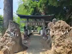 馬場氷川神社の鳥居