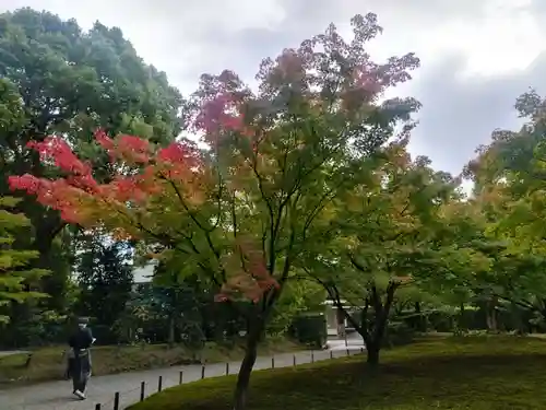 城南宮(京都府)