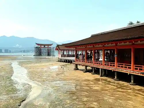 厳島神社の建物その他