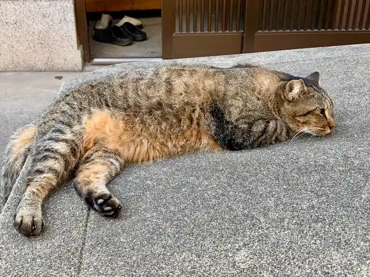 法案寺南坊の動物