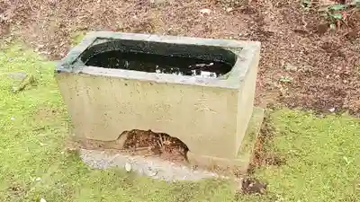 六所神社の手水舎