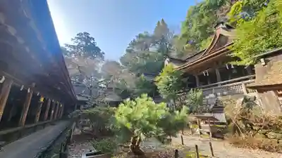 吉野水分神社(吉野町)の本殿・本堂