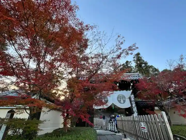 光明寺(粟生光明寺)(京都府)