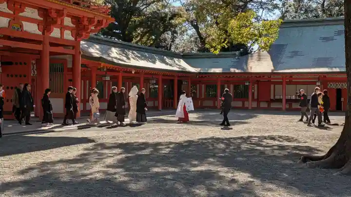 武蔵一宮氷川神社(埼玉県)