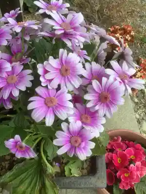 平泉寺(愛知県)