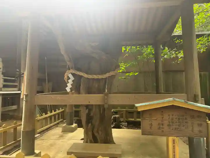 鶴嶺八幡宮の{uncategorized: "未分類", other: "その他", undefined: "問題あり", building: "その他建物", grave: "お墓", sacred_gate: "鳥居", guardian: "狛犬", statue: "像", buddha: "仏像", history: "歴史", nature: "自然", garden: "庭園", animal: "動物", pagoda: "塔", temizu: "手水舎", mountain_gate: "山門・神門", sanctuary: "本殿・本堂", subordinate: "末社・摂社", art: "芸術", scenery: "景色", jizo: "地蔵", ema: "絵馬", goshuin: "御朱印", omikuji: "おみくじ", items: "授与品その他", amulet: "お守り", goshuincho: "御朱印帳", eats: "食事", festival: "お祭り", votive_dance: "神楽", shichigosan: "七五三参", wedding: "結婚式", experience: "体験その他", initially: "初詣", around: "周辺", anti_infection: "感染症対策"}
