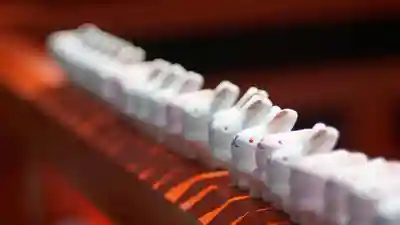 岡崎神社(京都府)