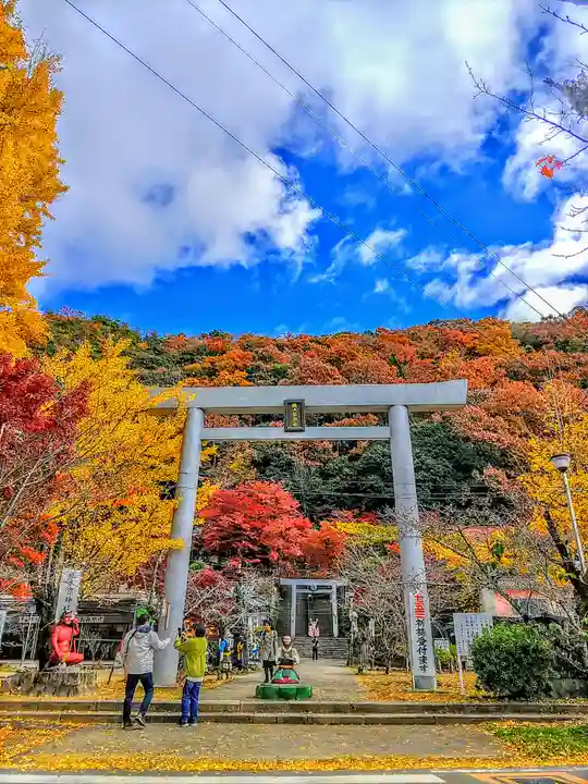 桃太郎神社(栗栖)の鳥居
