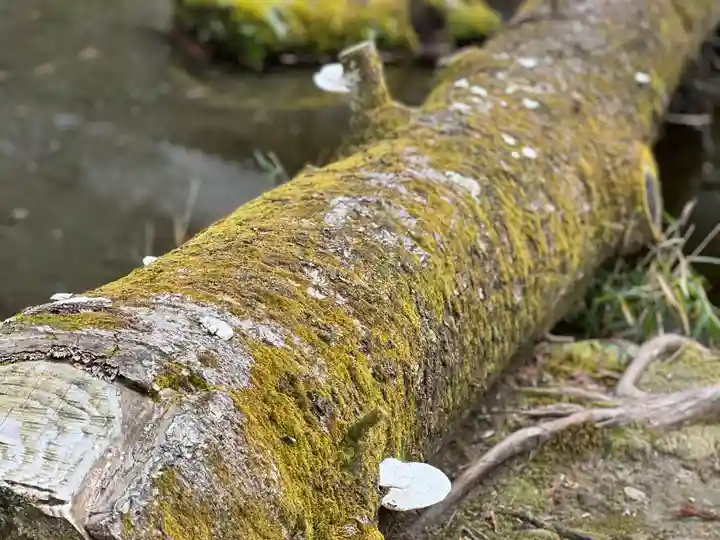 法然院(京都府)