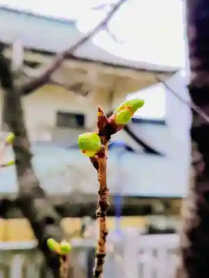 五條天神社(東京都)