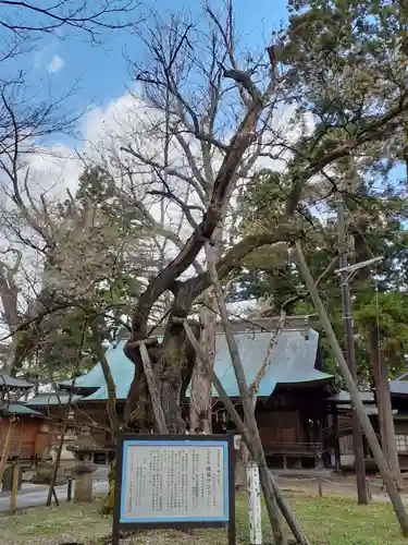 蠶養國神社の自然