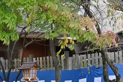 伊勢山皇大神宮(神奈川県)