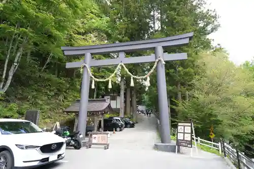 戸隠神社中社の鳥居