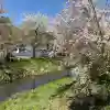 淺間神社(忍野八海)の{uncategorized: "未分類", other: "その他", undefined: "問題あり", building: "その他建物", grave: "お墓", sacred_gate: "鳥居", guardian: "狛犬", statue: "像", buddha: "仏像", history: "歴史", nature: "自然", garden: "庭園", animal: "動物", pagoda: "塔", temizu: "手水舎", mountain_gate: "山門・神門", sanctuary: "本殿・本堂", subordinate: "末社・摂社", art: "芸術", scenery: "景色", jizo: "地蔵", ema: "絵馬", goshuin: "御朱印", omikuji: "おみくじ", items: "授与品その他", amulet: "お守り", goshuincho: "御朱印帳", eats: "食事", festival: "お祭り", votive_dance: "神楽", shichigosan: "七五三参", wedding: "結婚式", experience: "体験その他", initially: "初詣", around: "周辺", anti_infection: "感染症対策"}