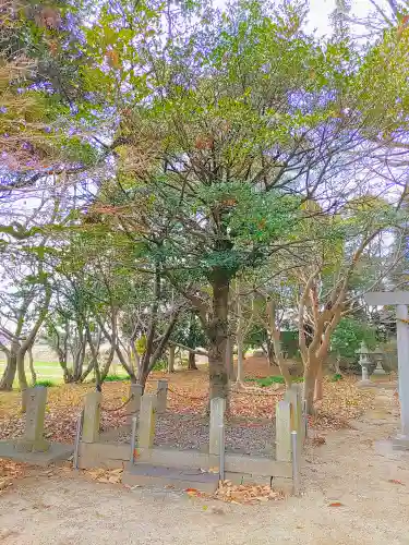 天満神社の自然