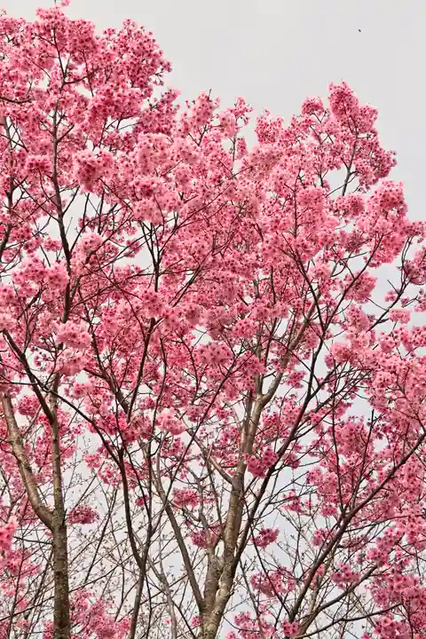 理正院(愛媛県)