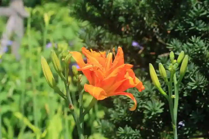 豊景神社の庭園