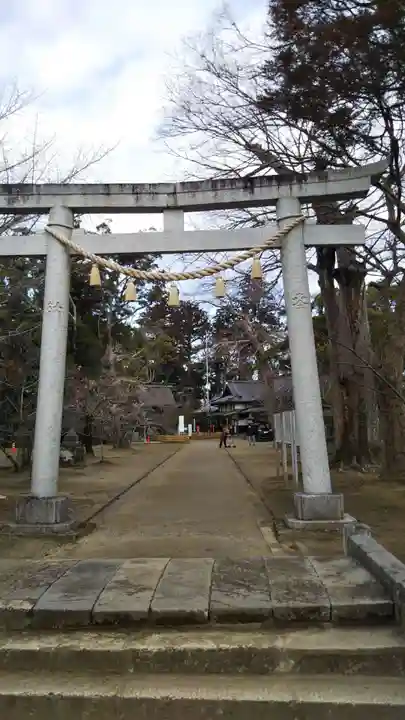 橘樹神社の鳥居