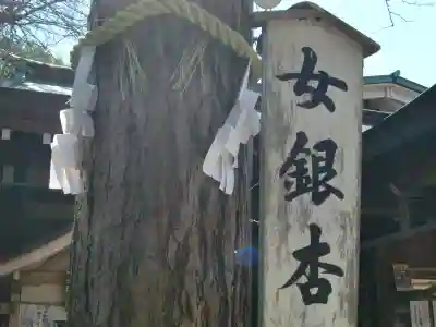 大宮八幡宮のその他建物