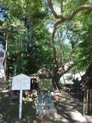 草薙神社(静岡県)