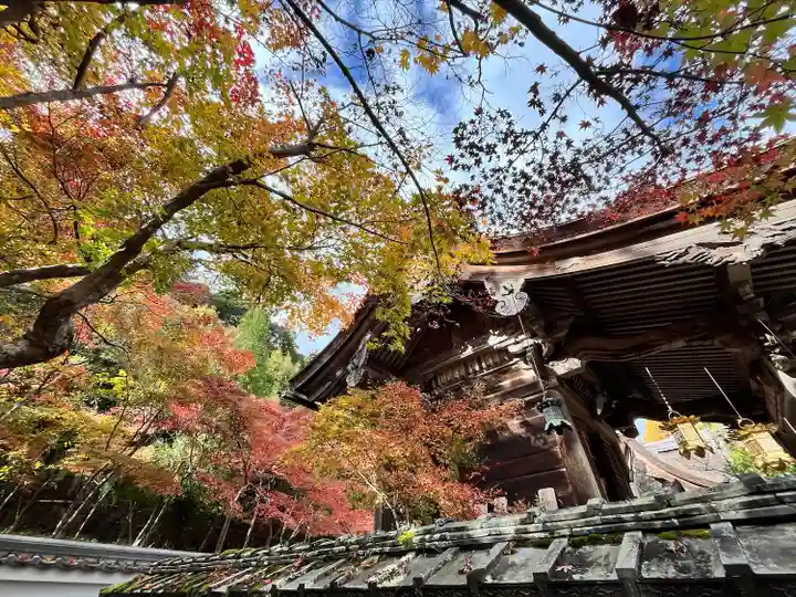 鍬山神社(京都府)