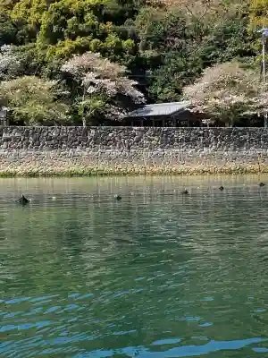 厳島神社の{uncategorized: "未分類", other: "その他", undefined: "問題あり", building: "その他建物", grave: "お墓", sacred_gate: "鳥居", guardian: "狛犬", statue: "像", buddha: "仏像", history: "歴史", nature: "自然", garden: "庭園", animal: "動物", pagoda: "塔", temizu: "手水舎", mountain_gate: "山門・神門", sanctuary: "本殿・本堂", subordinate: "末社・摂社", art: "芸術", scenery: "景色", jizo: "地蔵", ema: "絵馬", goshuin: "御朱印", omikuji: "おみくじ", items: "授与品その他", amulet: "お守り", goshuincho: "御朱印帳", eats: "食事", festival: "お祭り", votive_dance: "神楽", shichigosan: "七五三参", wedding: "結婚式", experience: "体験その他", initially: "初詣", around: "周辺", anti_infection: "感染症対策"}