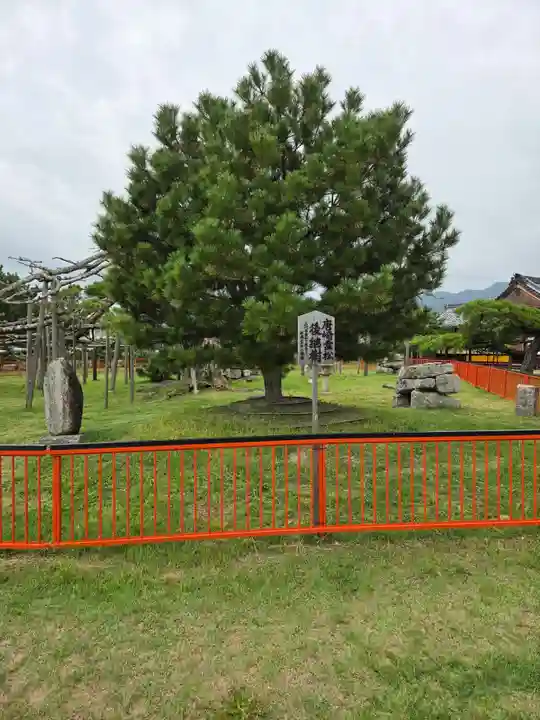 唐崎神社の御朱印